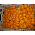 Taze Nanfeng Bebek Mandarin